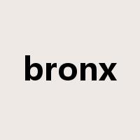 bronx是什么意思