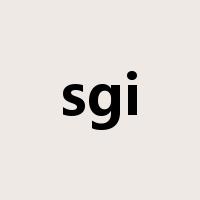 sgi是什么意思