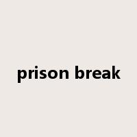 prison break是什么意思