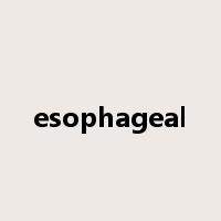 esophageal是什么意思