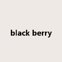 black berry是什么意思