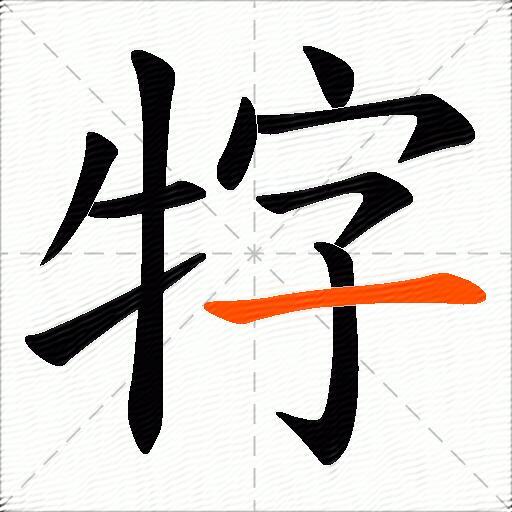 牸