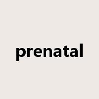 prenatal是什么意思