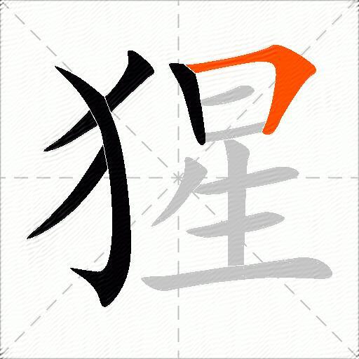 猩