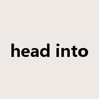 head into是什么意思