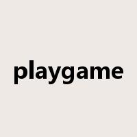 playgame是什么意思