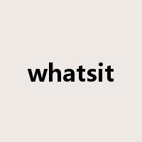 whatsit是什么意思