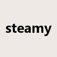steamy是什么意思
