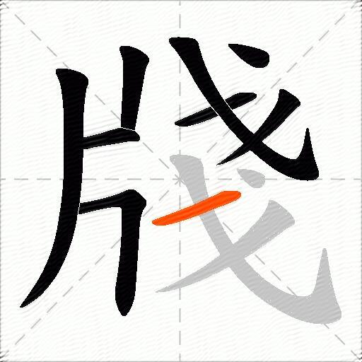 牋