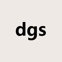 dgs是什么意思