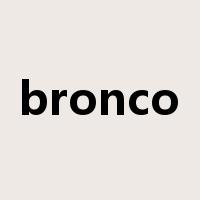 bronco是什么意思