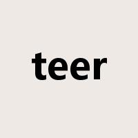 teer是什么意思