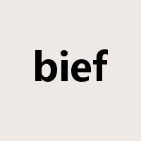 bief是什么意思