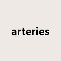 arteries是什么意思