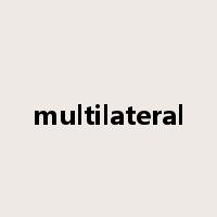 multilateral是什么意思