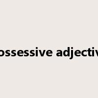 possessive adjective是什么意思