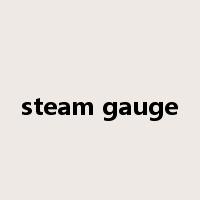 steam gauge是什么意思