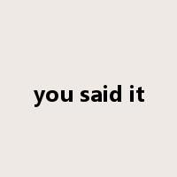you said it是什么意思