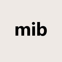 mib是什么意思