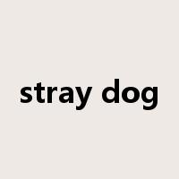 stray dog是什么意思