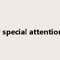 pay special attention to是什么意思