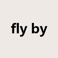 fly by是什么意思