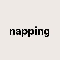 napping是什么意思