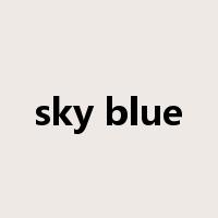 sky blue是什么意思