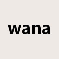 wana是什么意思