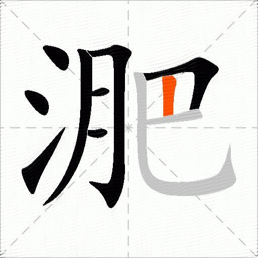 淝