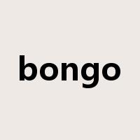 bongo是什么意思