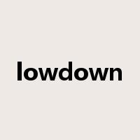 lowdown是什么意思