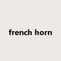 french horn是什么意思