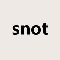 snot是什么意思