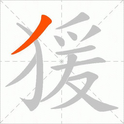 猨