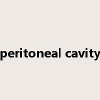peritoneal cavity是什么意思
