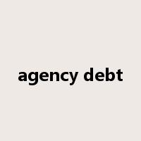 agency debt是什么意思