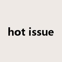 hot issue是什么意思