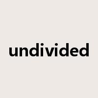 undivided是什么意思
