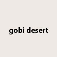 gobi desert是什么意思