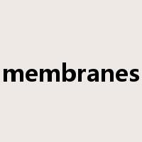membranes是什么意思