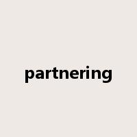 partnering是什么意思