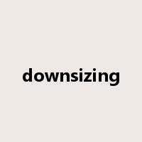 downsizing是什么意思