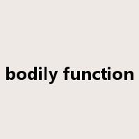 bodily function是什么意思