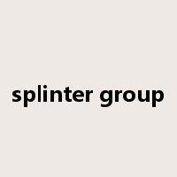 splinter group是什么意思