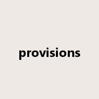 provisions是什么意思