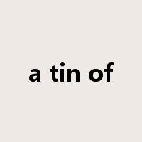 a tin of是什么意思