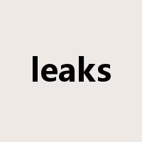 leaks是什么意思