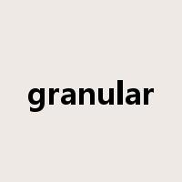 granular是什么意思