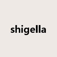 shigella是什么意思